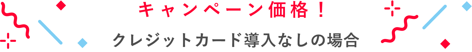 キャンペーン価格!クレジットカード導入なしの場合